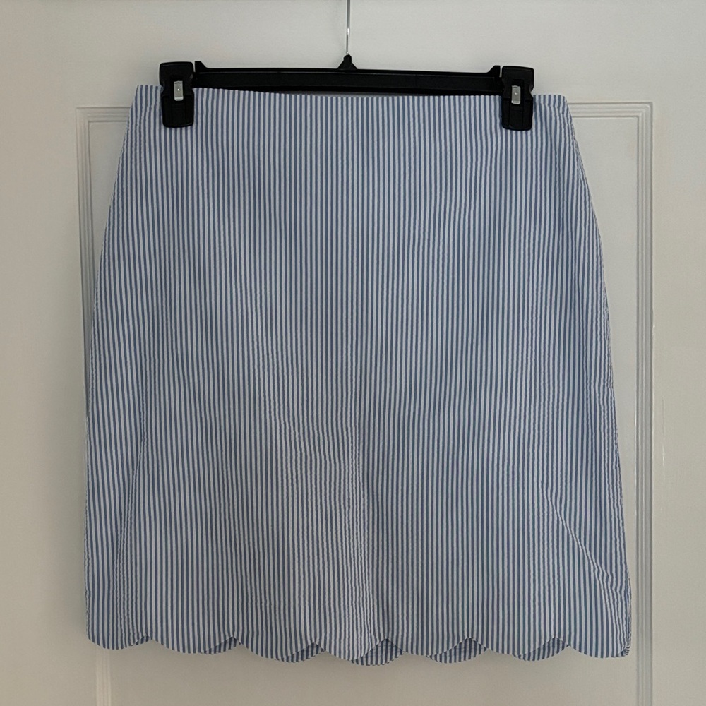 Talbots Blue Striped Skirt